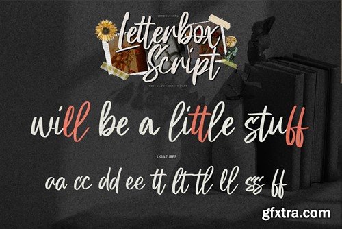 Letterbox Script - This is Fun Script Font A84AAKY