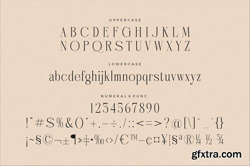 Nebiard Classic Serif Font 2JKHYVN