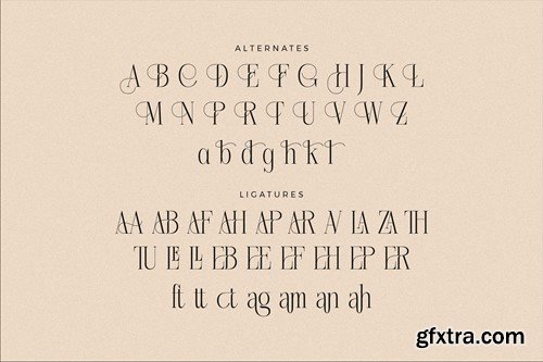 Nebiard Classic Serif Font 2JKHYVN