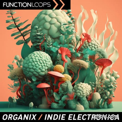Function Loops Organix - Indie Electronica
