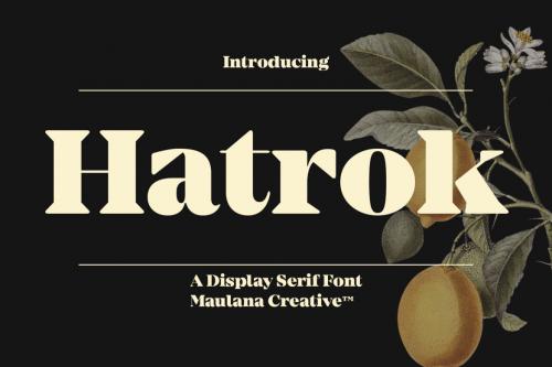 Deeezy - Hatrok Display Luxury Serif Font