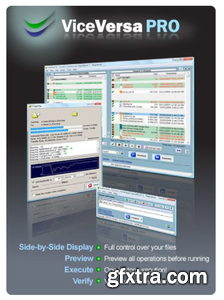 ViceVersa Pro 6 Build 6011