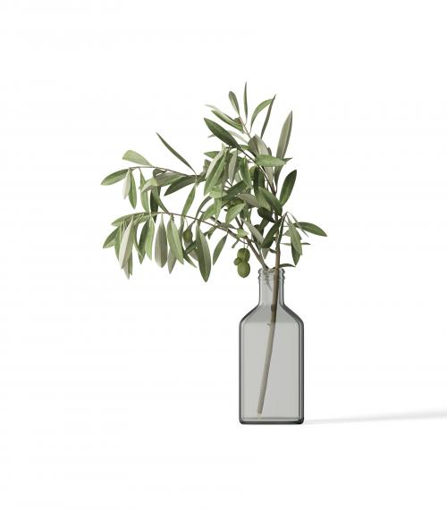 Creatoom -  Olive Branch In Vase V1 Front View