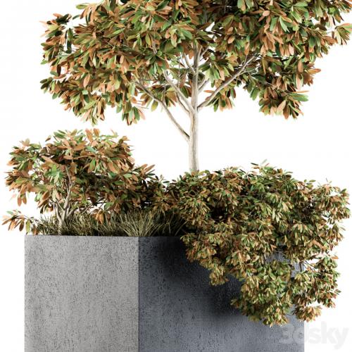 Outdoor Plants in Concrete Plant Box - Set 98