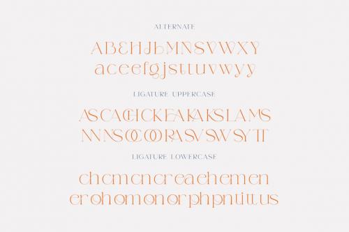 Deeezy - Weaser Modern Serif