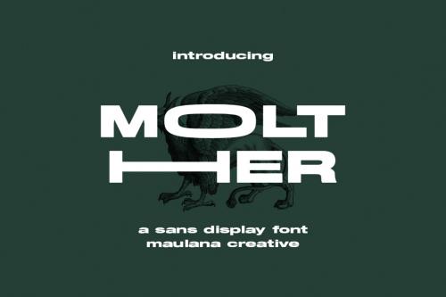 Deeezy - Molther Sans Display Font