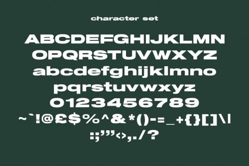 Deeezy - Molther Sans Display Font