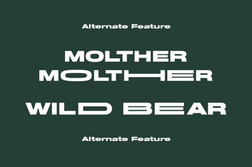 Deeezy - Molther Sans Display Font