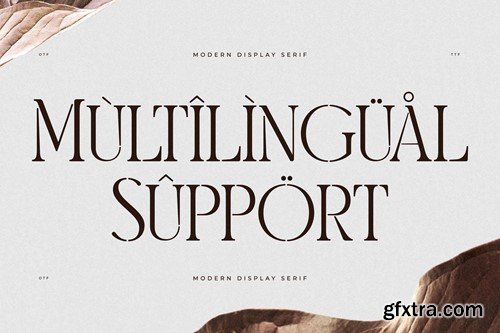 Morelan Modern Display Serif Font 64QG8BY