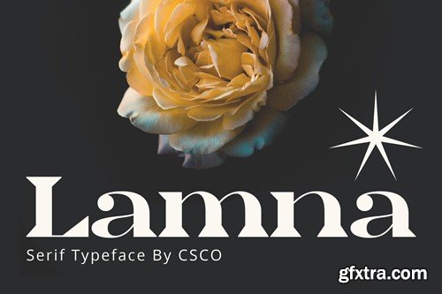 Lamna – Wide Serif Font D485SPF