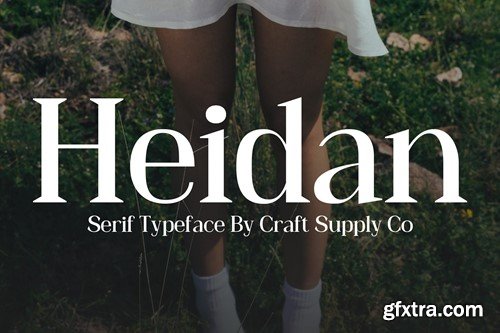 Heidan – Wedge Serif Font LS2YT9K