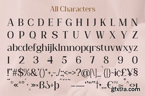 Heidan – Wedge Serif Font LS2YT9K