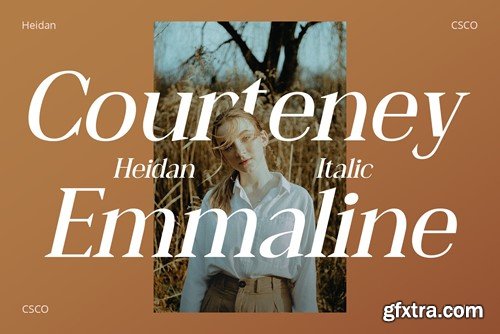 Heidan – Wedge Serif Font LS2YT9K