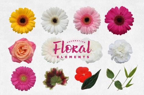 Decorative Floral Elements Kit