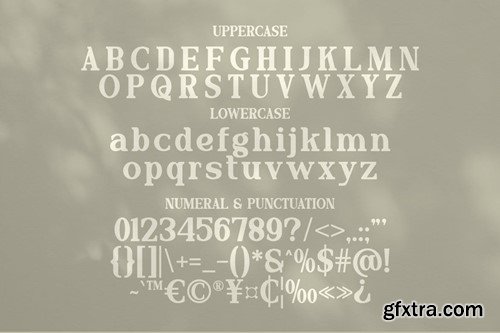 Melofina - Serif Display Typeface QSES2TV