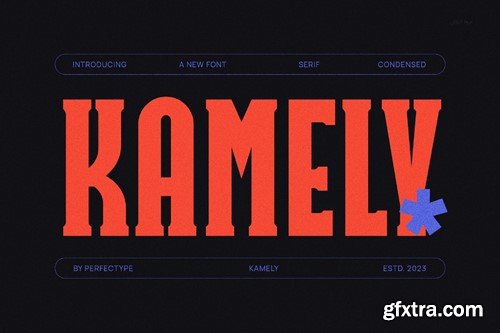 Kamely Modern Futuristic Slab Serif Font LPEYQLZ