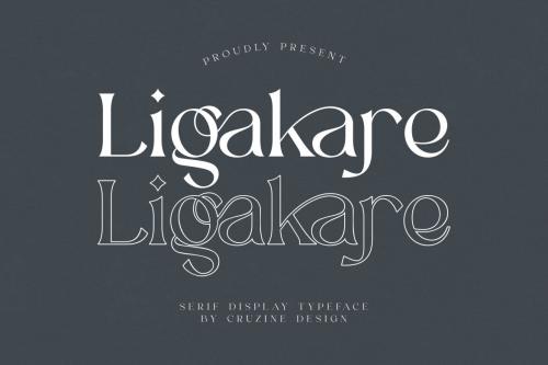 Deeezy - Ligakare Modern Serif