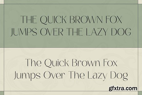 The Stilline - Sans Serif Font D8F7KXA