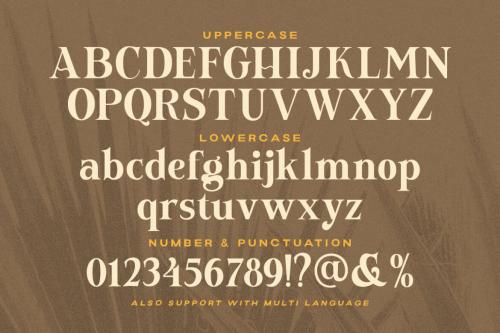 Deeezy - Newfield - Modern Serif Font