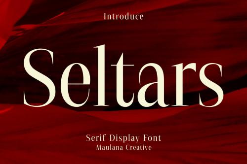 Deeezy - Seltars Display Serif Font