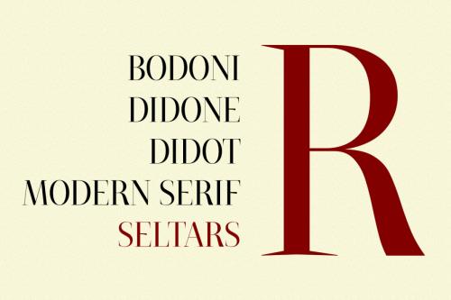 Deeezy - Seltars Display Serif Font