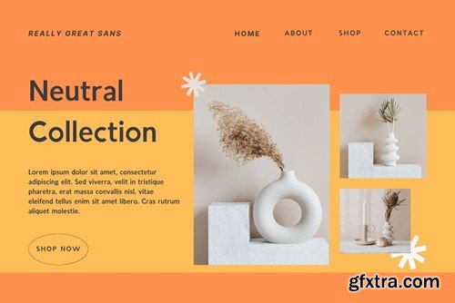 Fanslite Modern Sans Serif Font Typeface XDPNWKP