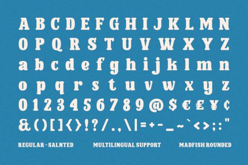 Deeezy - Madfish Typeface - Rounded Serif Font