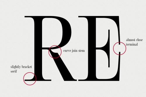 Deeezy - Rasteira Display Serif Font