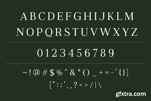 Gestur Modern Serif Display Font 6L7VMNZ