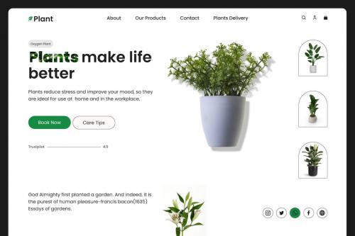 Plant - Nature Website Hero