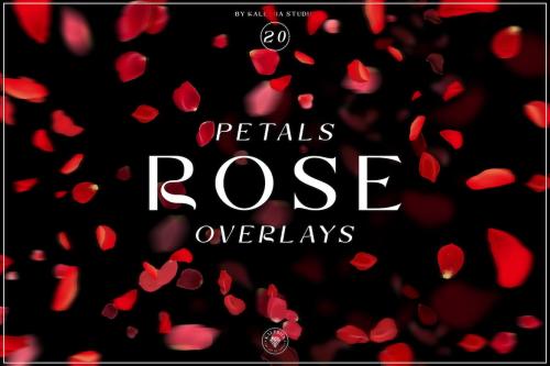 Rose Petals Overlays