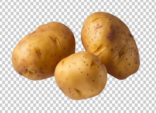 Fresh Potatoes On Alpha Layer