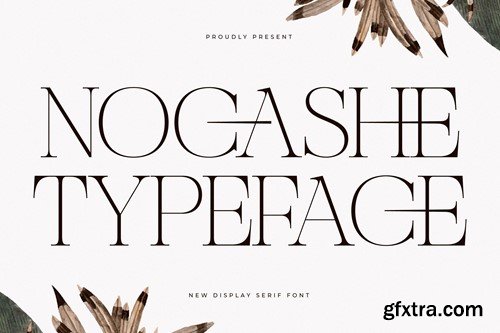 Nocashe New Display Font Serif C6A648A