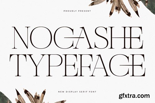 Nocashe New Display Font Serif C6A648A