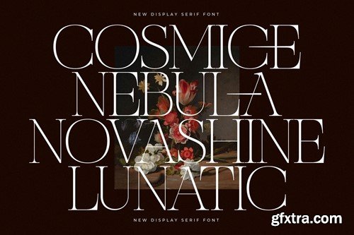 Nocashe New Display Font Serif C6A648A