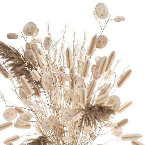 A beautiful bouquet of dried flowers in a vase with dry branches of pampas, reeds, lunnik. 127.