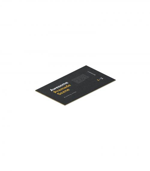 Creatoom -  Business Card Mockup V9 Isometric