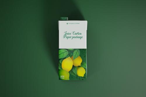 Deeezy - Tetra Pack Fruit Juice Carton Mockup