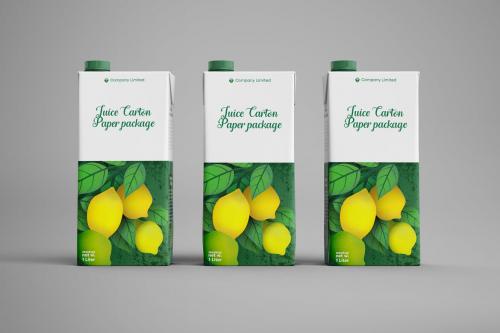 Deeezy - Tetra Pack Fruit Juice Carton Mockup