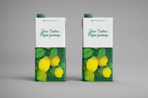 Deeezy - Tetra Pack Fruit Juice Carton Mockup