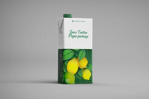 Deeezy - Tetra Pack Fruit Juice Carton Mockup