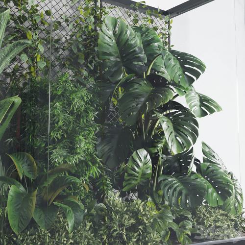 Plants Behind Galss 03 - indoor garden