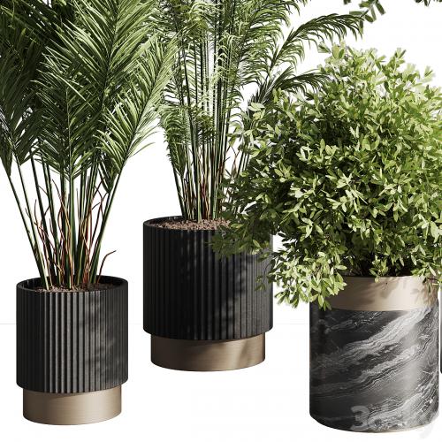 indoor plant set 57