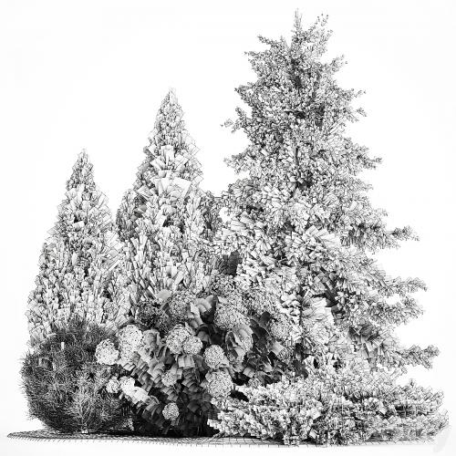 Garden of spruce, pine, topiary, white hydrangea bush, flowers, juniper, alpine hill. Plant set 1181