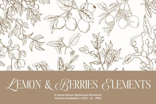 Lemon & Berries Hand-drawn Elements