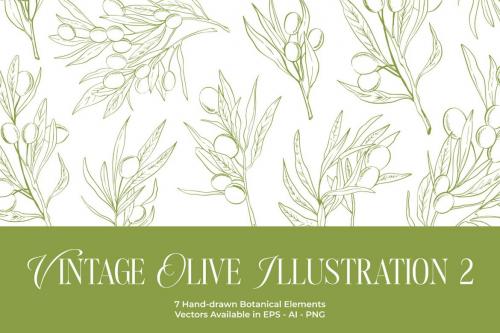 Vintage Olive Hand-drawn Elements