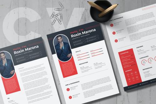 Business CV Resume Template