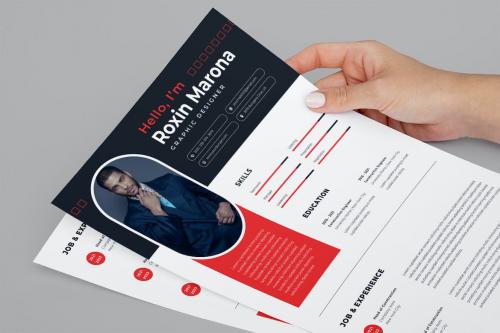 Business CV Resume Template