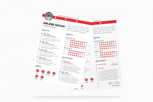 Graphics business Resume CV