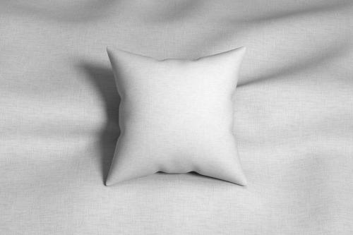 Pillow Mock Up 013